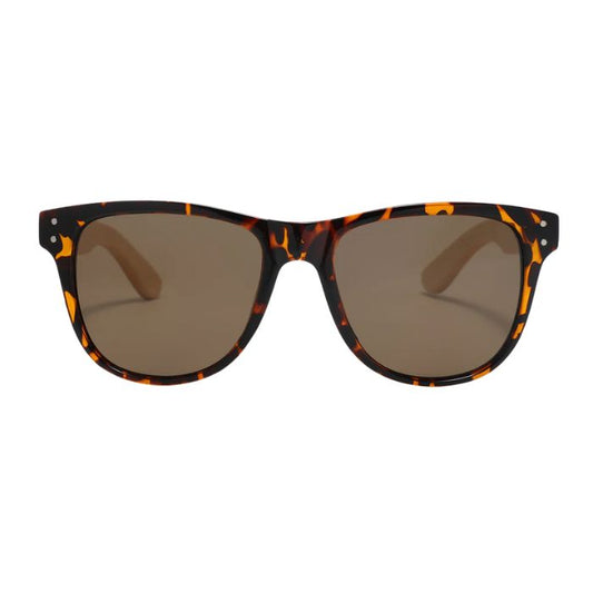 berlin sunglasses tortoise frames and brown lenses front view of sunglasses on white background