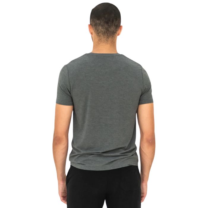 top of male model wearing heather charcoal grey lawrence crew neck t-shirt back view on white background