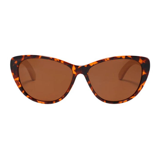 san francisco sunglasses tortoise frames and brown lenses front view on white background