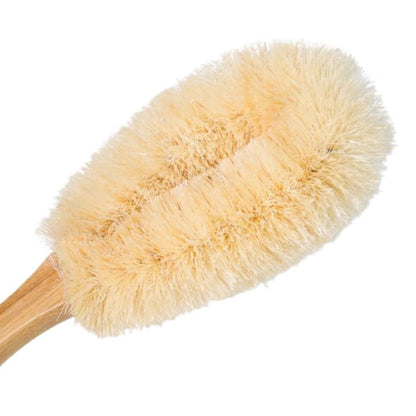 the body therapy brush close-up view on white background