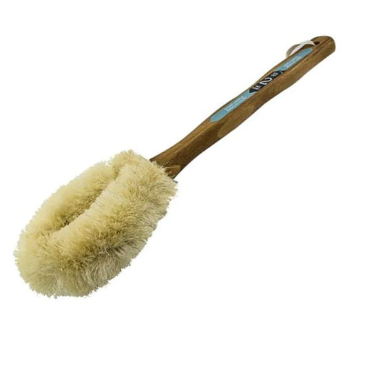 the body therapy brush side view on white background