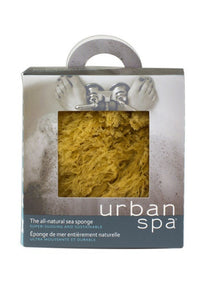 Super-sudsing and sustainable the All Natural Sea Sponge. Warm water and body wash turn this unbleached deep-sea treasure into a stimulating and circulation- boosting washcloth. Sustainably harvested, it needs little care. Simply rinse, squeeze out excess water and store in a dry place.  Natural sea sponges. Ideal for use in the bath or shower.$14.00