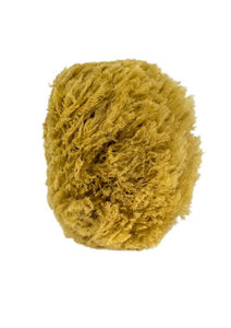 Super-sudsing and sustainable the All Natural Sea Sponge. Warm water and body wash turn this unbleached deep-sea treasure into a stimulating and circulation- boosting washcloth. Sustainably harvested, it needs little care. Simply rinse, squeeze out excess water and store in a dry place.  Natural sea sponges. Ideal for use in the bath or shower. $14.00